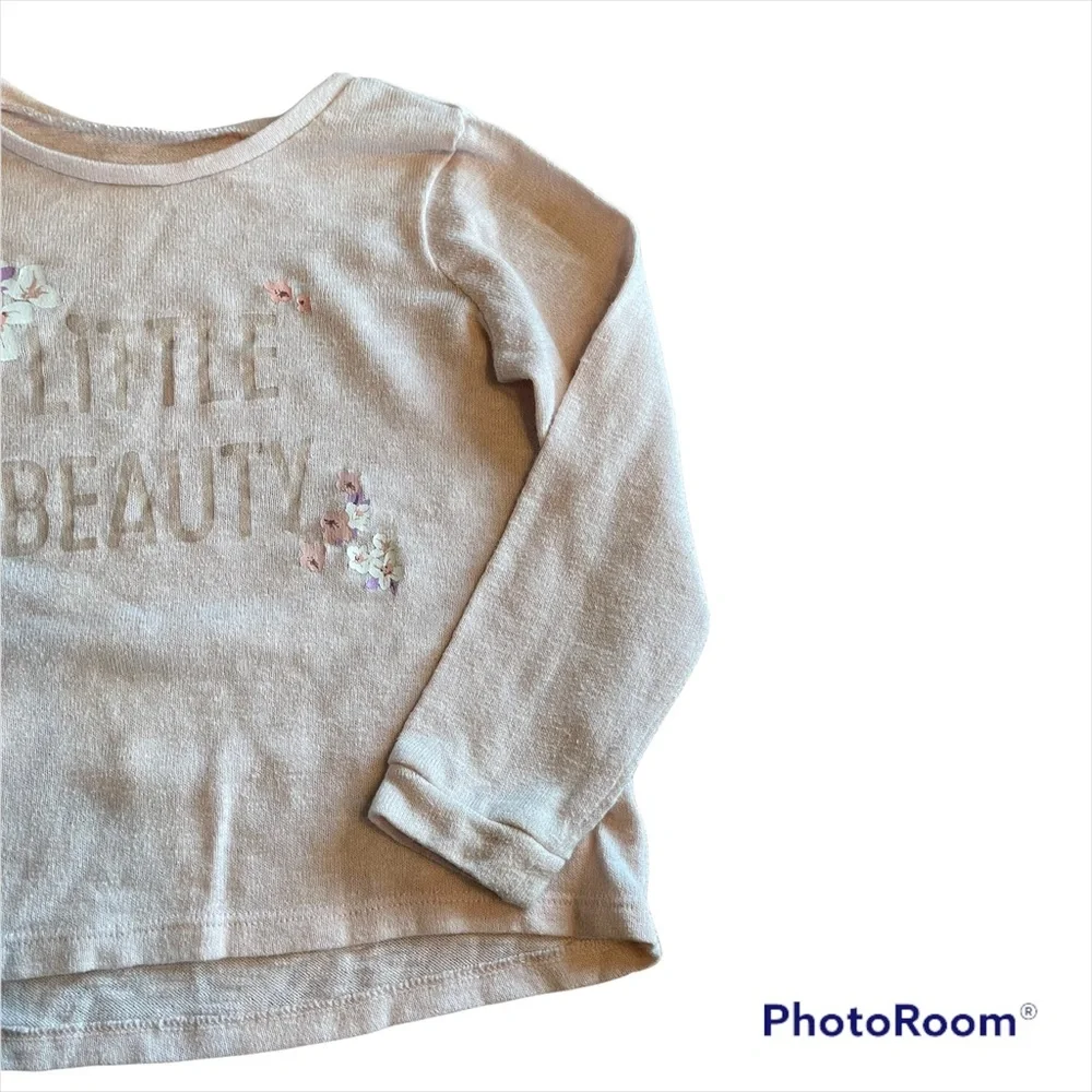 4T The Children's Place sweater